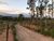 Fazenda, 2000 m² - Foto 1