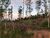 Fazenda, 2000 m² - Foto 3