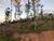 Fazenda, 2000 m² - Foto 4