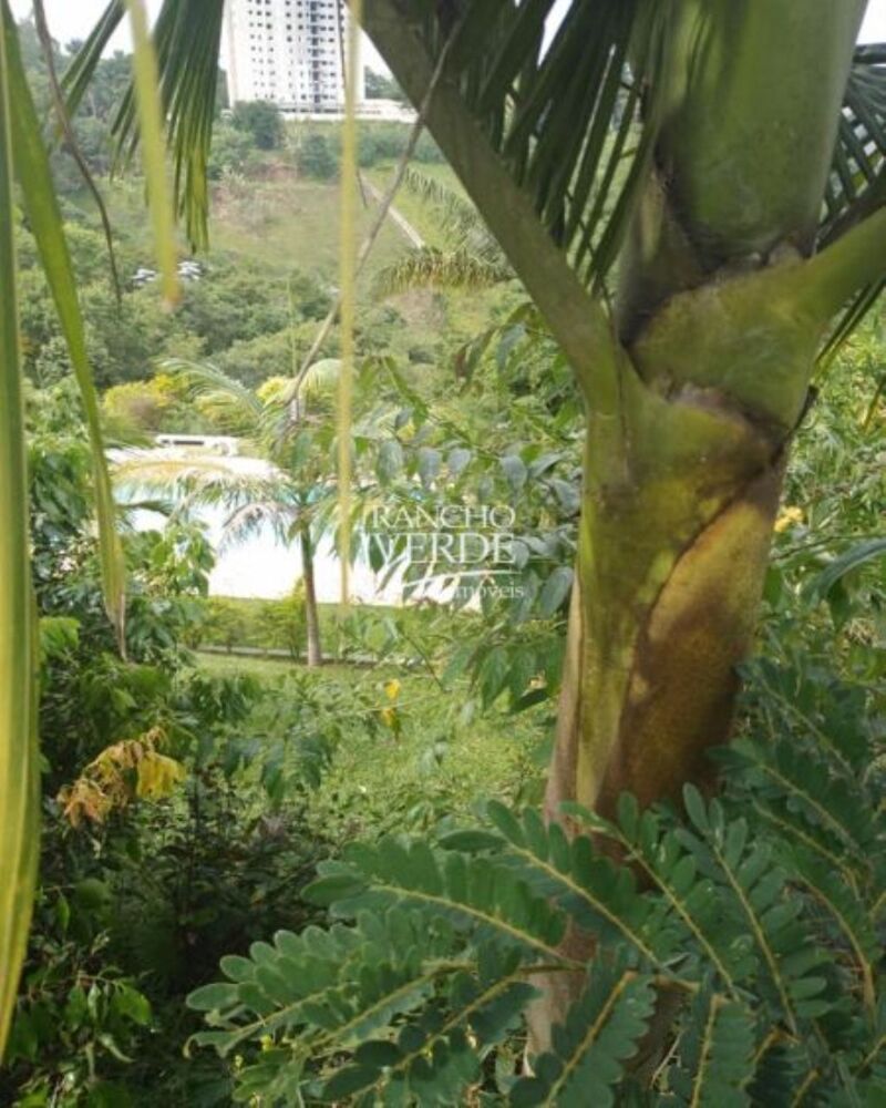 Chácara à venda, 5000m² - Foto 2