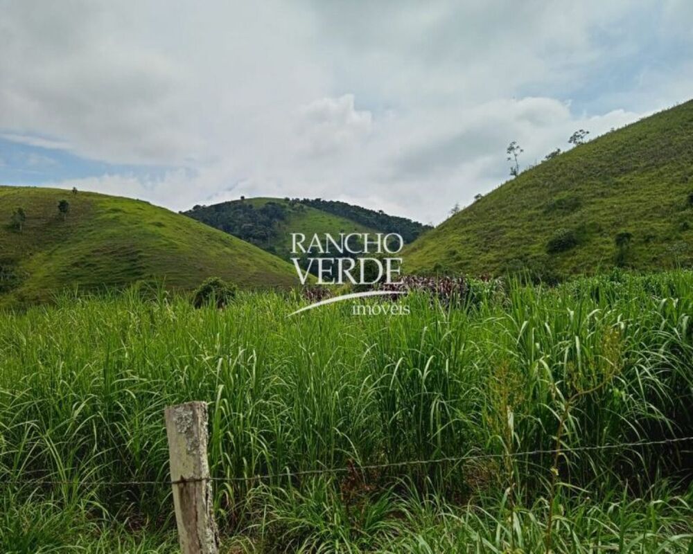 Sítio, 3 quartos, 10 m² - Foto 4