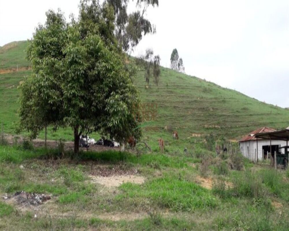 Sítio, 3 quartos, 10 m² - Foto 22