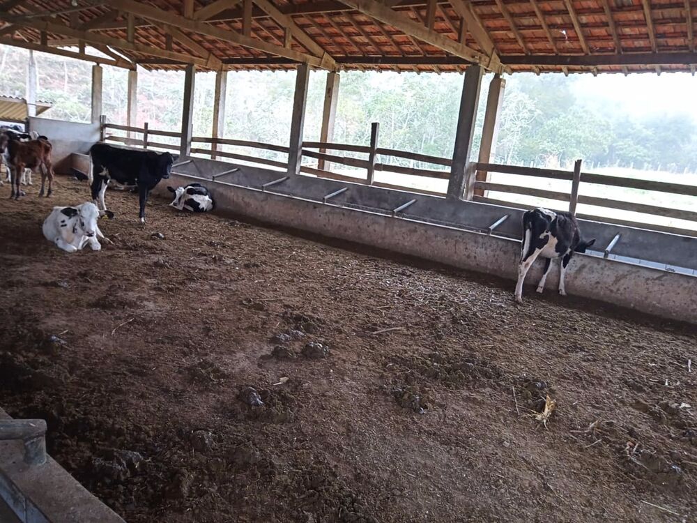 Sítio, 3 quartos, 10 m² - Foto 32