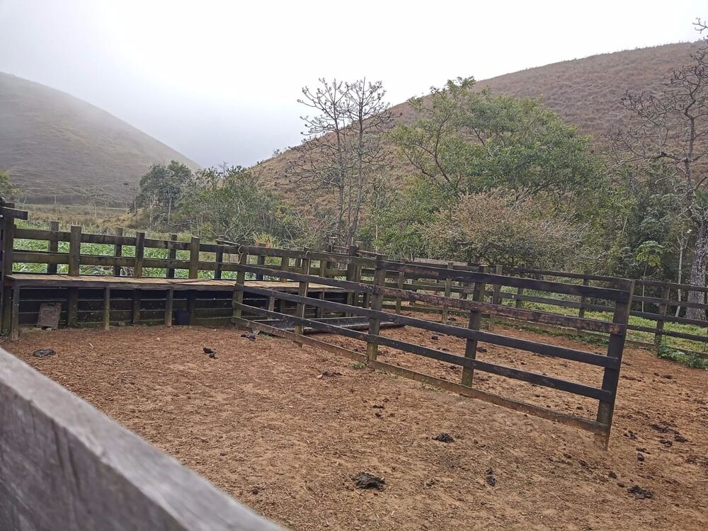 Sítio, 3 quartos, 10 m² - Foto 30