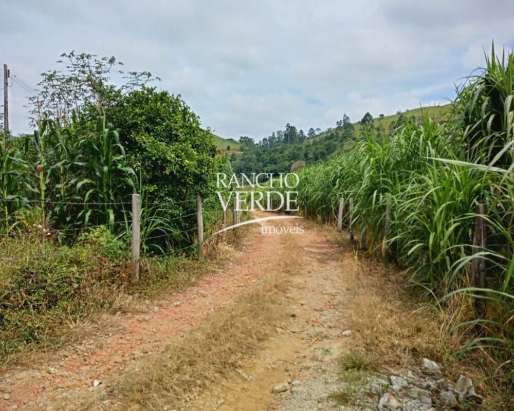 Sítio, 3 quartos, 10 m² - Foto 6