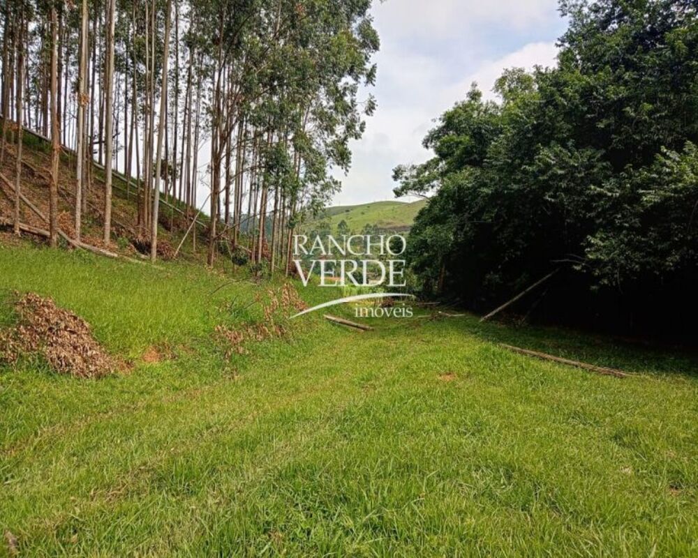 Sítio, 3 quartos, 10 m² - Foto 9