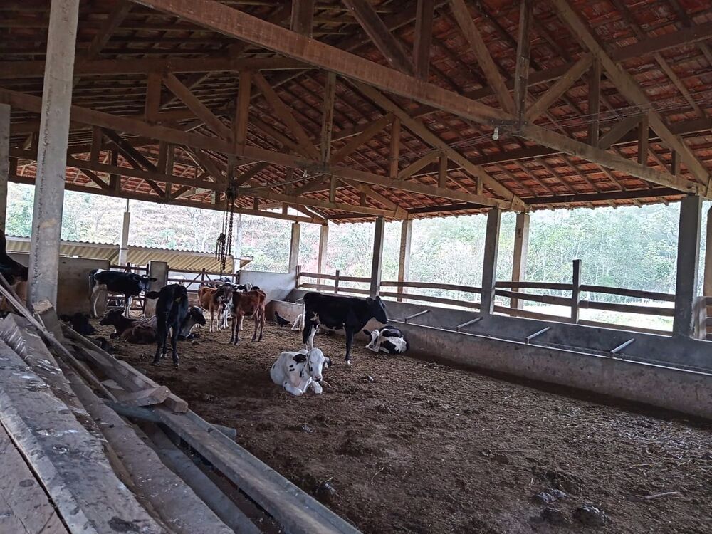 Sítio, 3 quartos, 10 m² - Foto 36