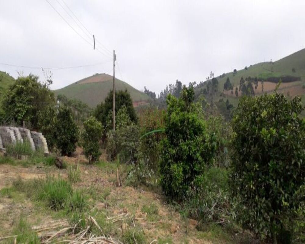 Sítio, 3 quartos, 10 m² - Foto 21