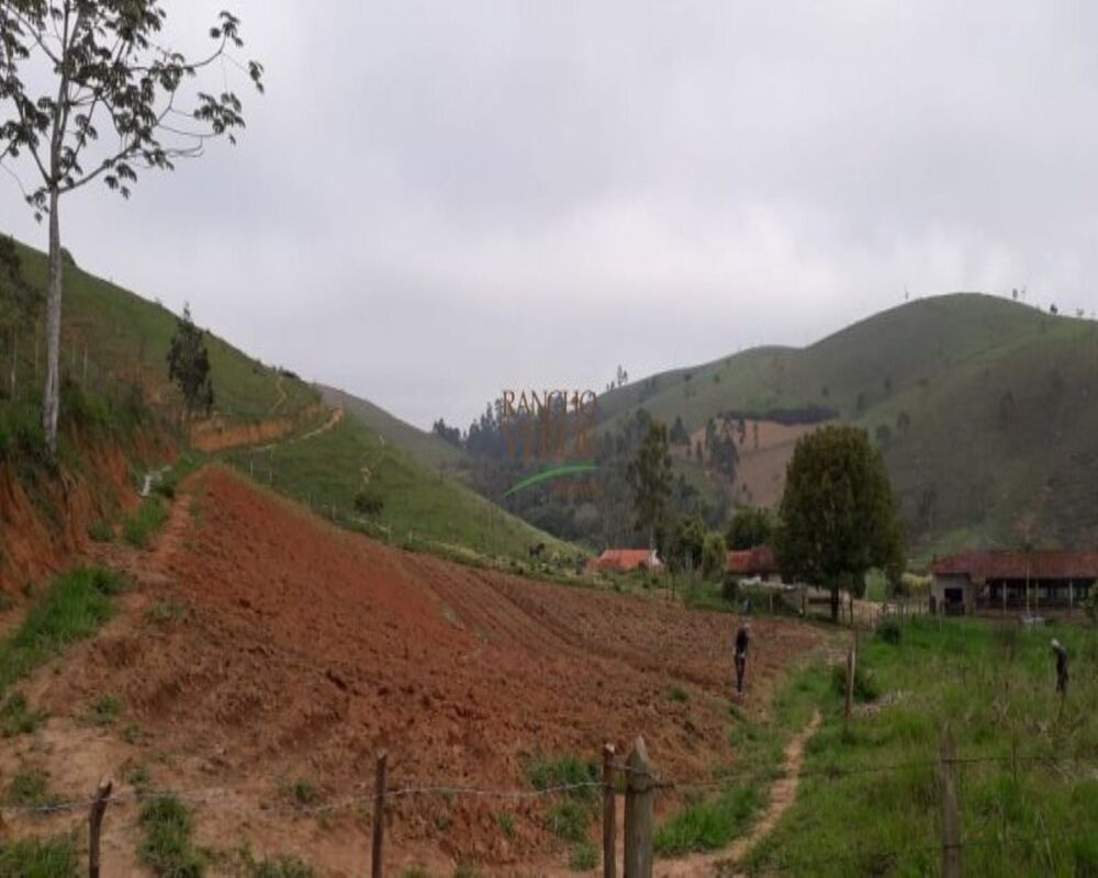 Sítio, 3 quartos, 10 m² - Foto 14