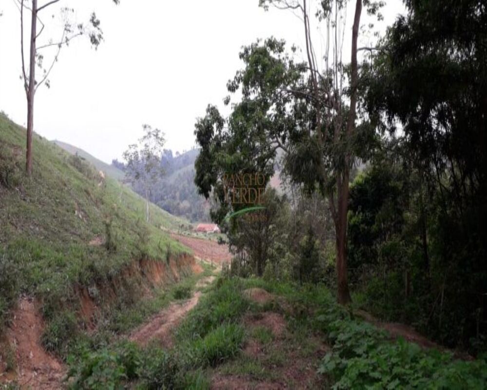 Sítio, 3 quartos, 10 m² - Foto 18