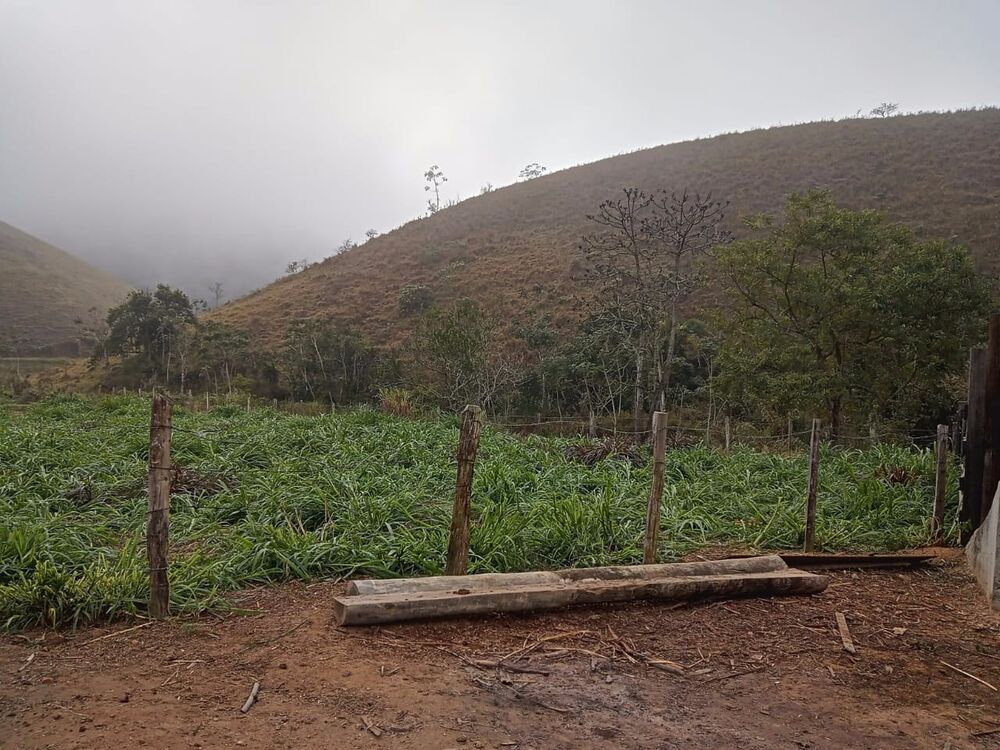 Sítio, 3 quartos, 10 m² - Foto 26