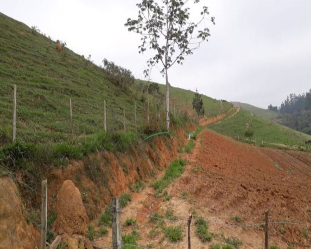 Sítio, 3 quartos, 10 m² - Foto 15