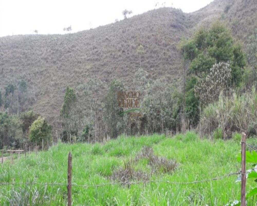 Sítio, 3 quartos, 10 m² - Foto 19