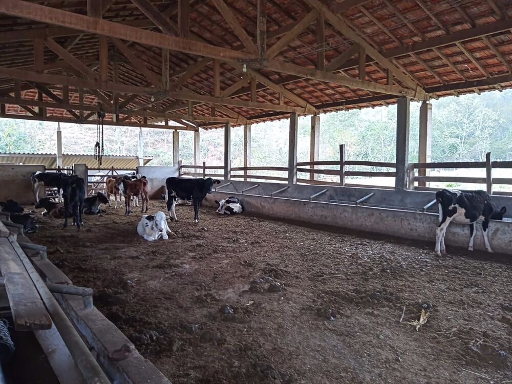 Sítio, 3 quartos, 10 m² - Foto 28