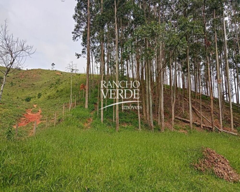 Sítio, 3 quartos, 10 m² - Foto 13