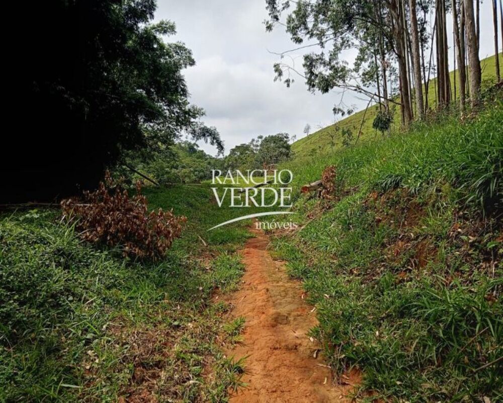 Sítio, 3 quartos, 10 m² - Foto 11