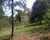 Chácara, 3 quartos, 5000 m² - Foto 5