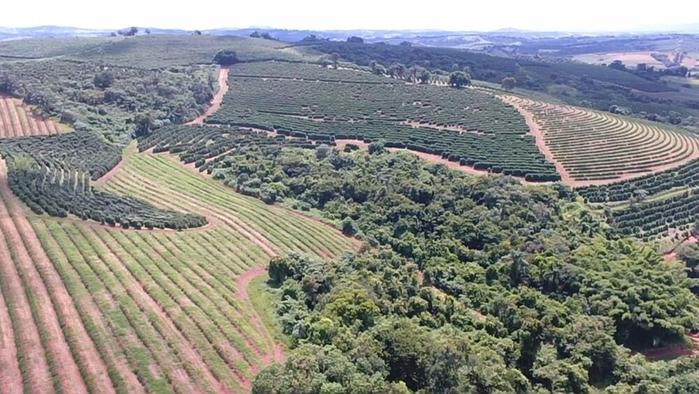 Fazenda à venda, 65m² - Foto 4