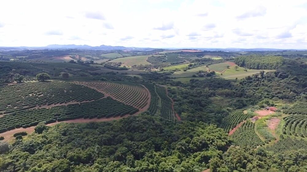 Fazenda à venda, 65m² - Foto 1