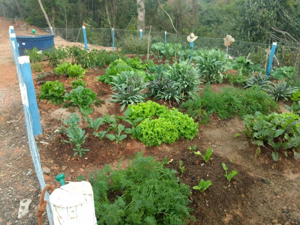 Fazenda à venda, 65m² - Foto 6
