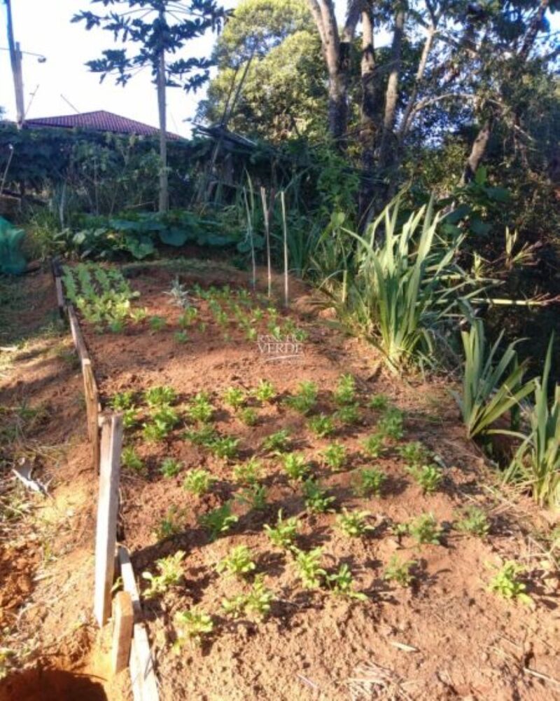 Chácara, 4 quartos, 2 hectares - Foto 1