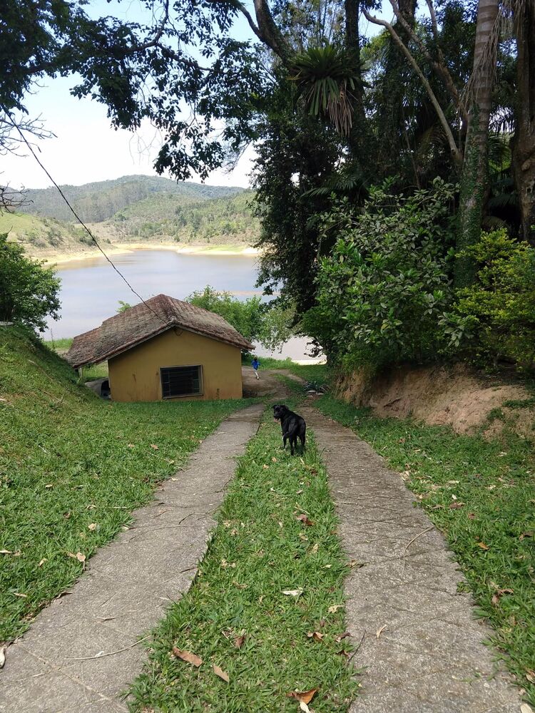 Sítio, 3 quartos, 4 hectares - Foto 15