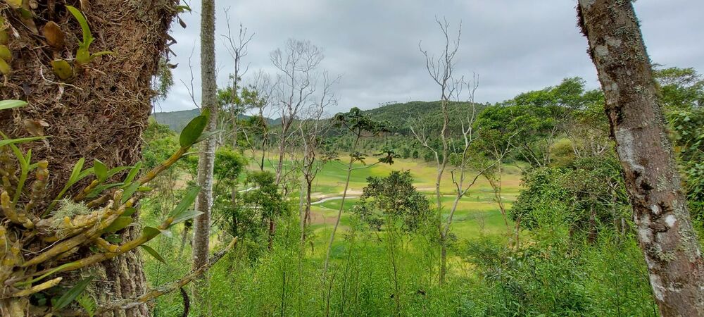 Sítio, 3 quartos, 4 hectares - Foto 32