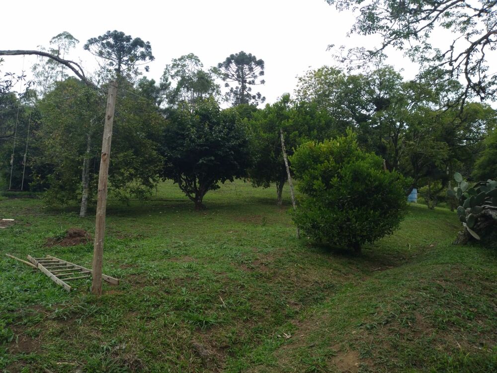 Sítio, 3 quartos, 4 hectares - Foto 12