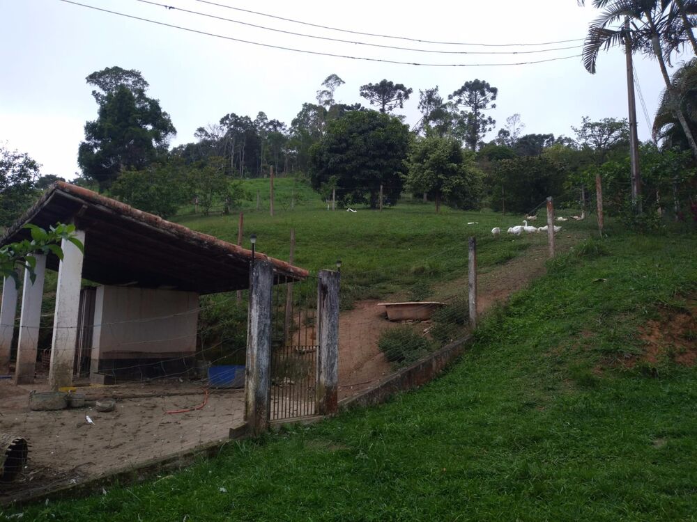 Sítio, 3 quartos, 4 hectares - Foto 6