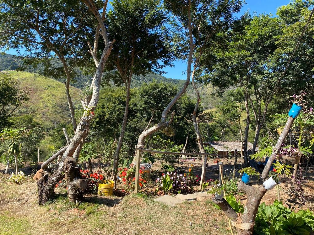 Chácara, 3 quartos, 2 hectares - Foto 6