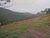 Fazenda, 2 hectares - Foto 2