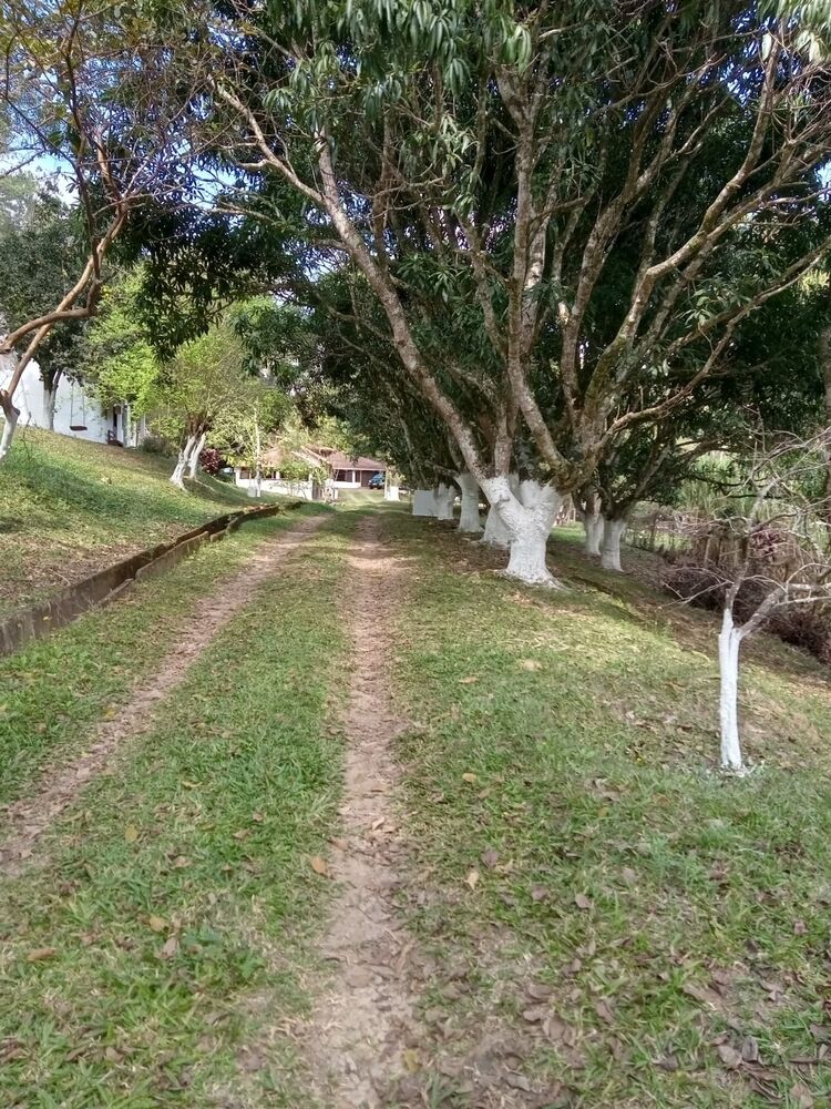 Chácara à venda com 2 quartos, 12000m² - Foto 7