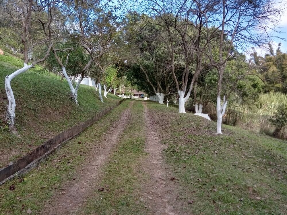 Chácara à venda com 2 quartos, 12000m² - Foto 6