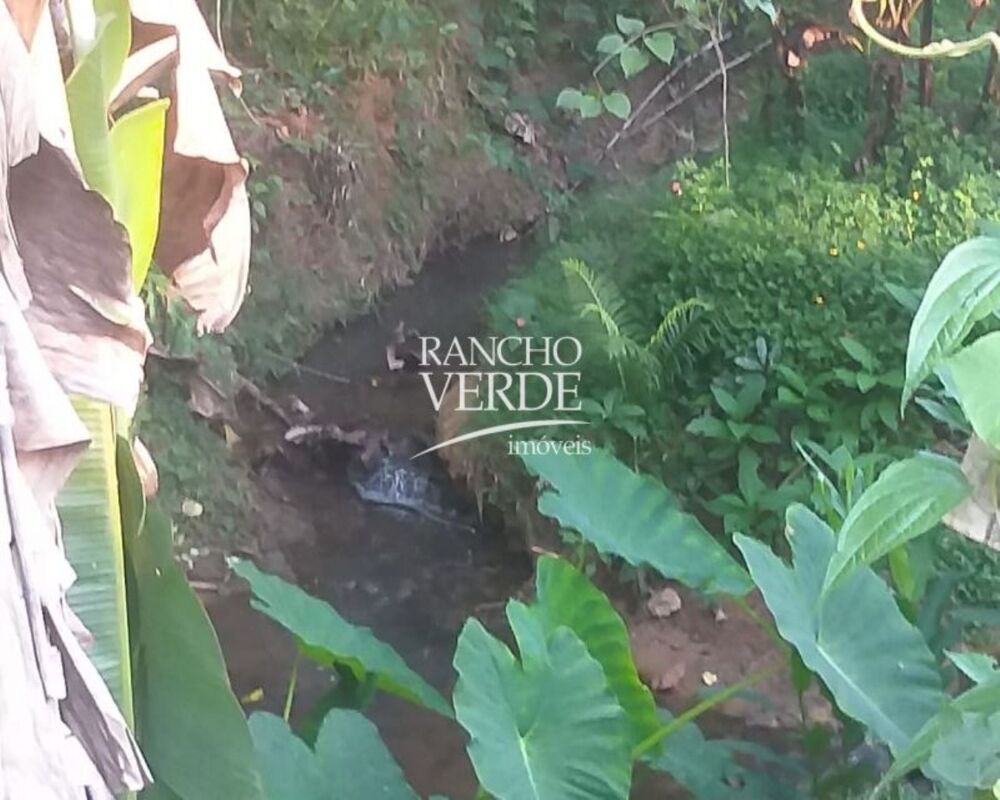 Fazenda, 4 hectares - Foto 4