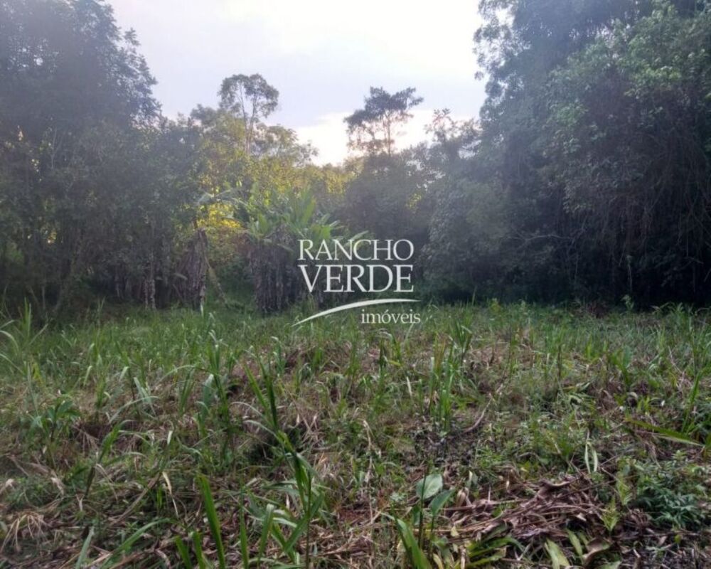 Fazenda, 4 hectares - Foto 5