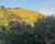 Fazenda, 4 hectares - Foto 1