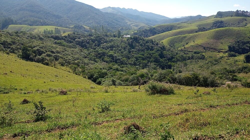 Haras e Área Rural Padrão à venda, 1m² - Foto 3