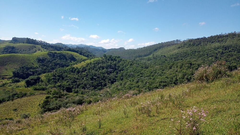 Haras e Área Rural Padrão à venda, 1m² - Foto 4