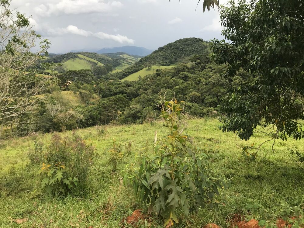 Fazenda, 1 m² - Foto 9