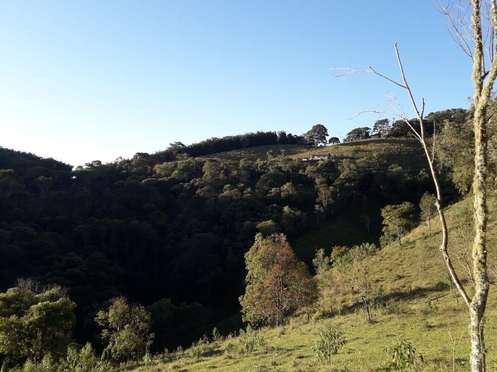 Fazenda, 1 m² - Foto 2