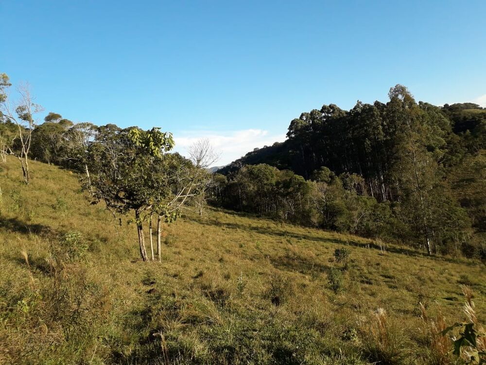 Fazenda, 1 m² - Foto 11