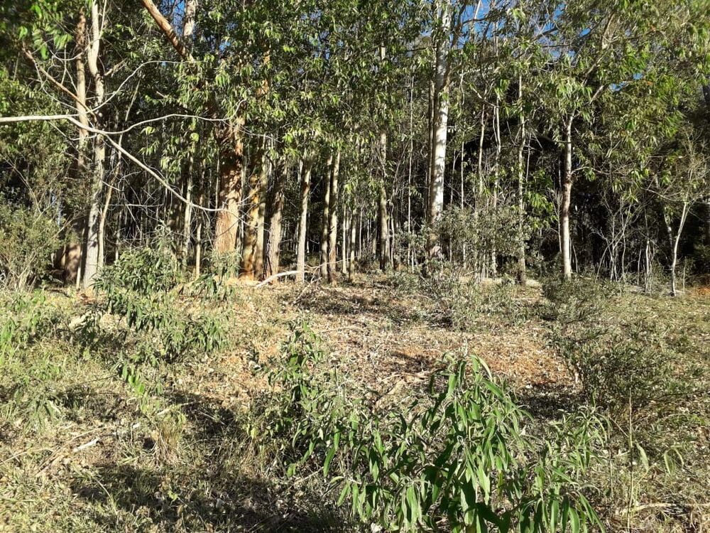 Fazenda, 1 m² - Foto 8