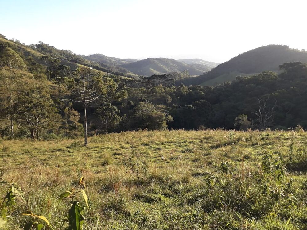 Fazenda, 1 m² - Foto 6