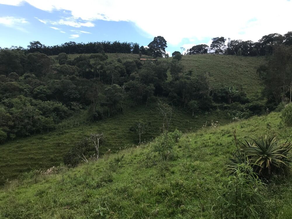 Fazenda, 1 m² - Foto 5