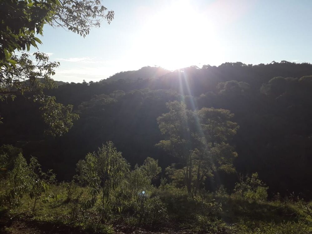 Fazenda, 1 m² - Foto 12