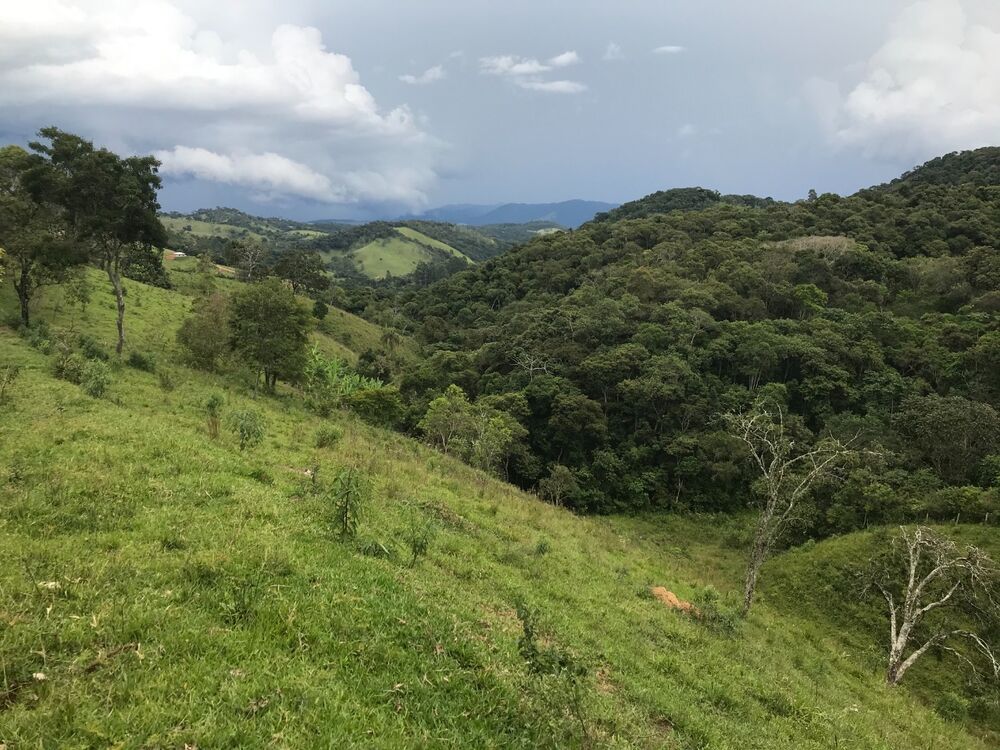 Fazenda, 1 m² - Foto 1