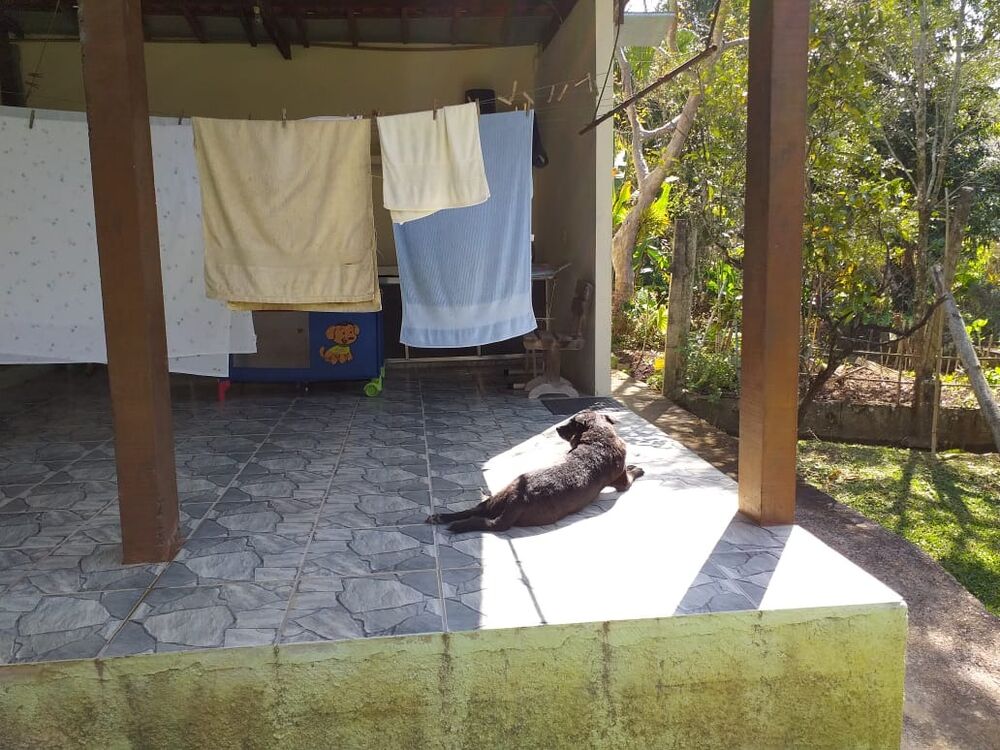 Chácara, 2 quartos, 5350 m² - Foto 4