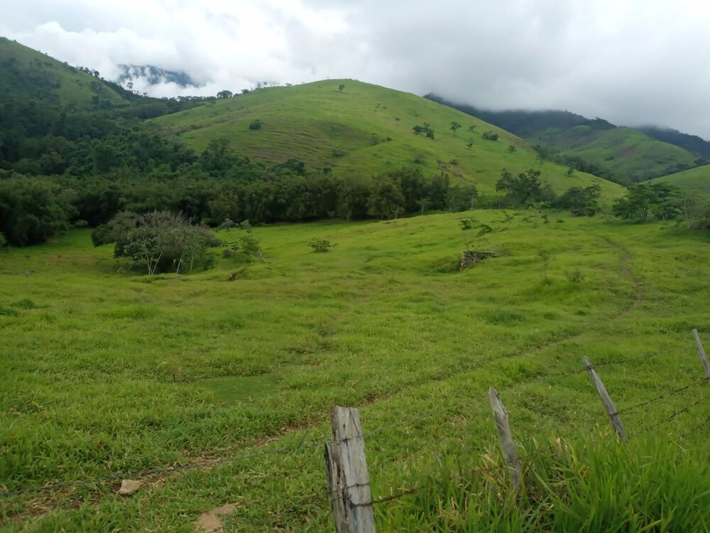Fazenda, 600 m² - Foto 4
