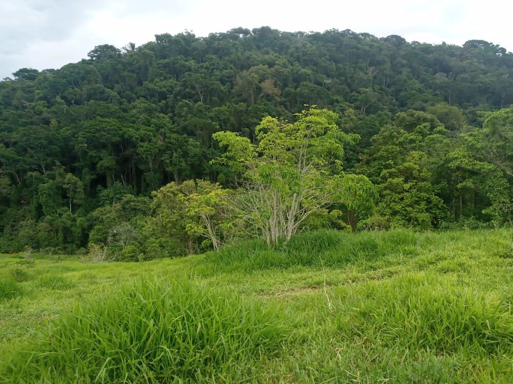 Fazenda, 600 m² - Foto 2