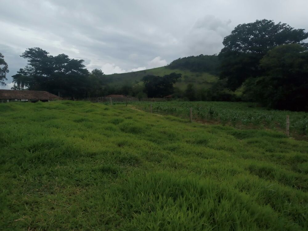 Fazenda, 600 m² - Foto 3